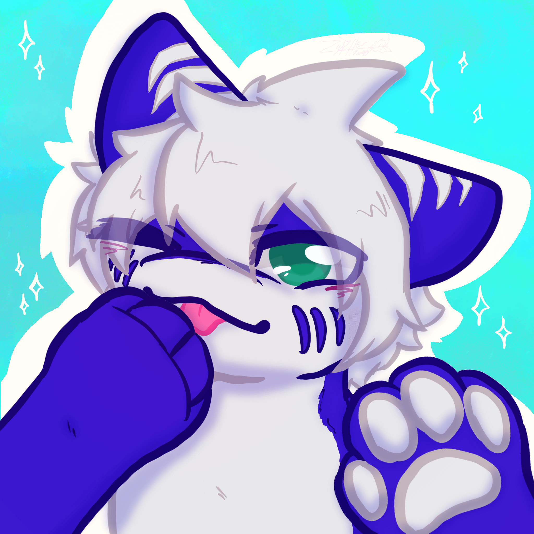 Shork's avatar